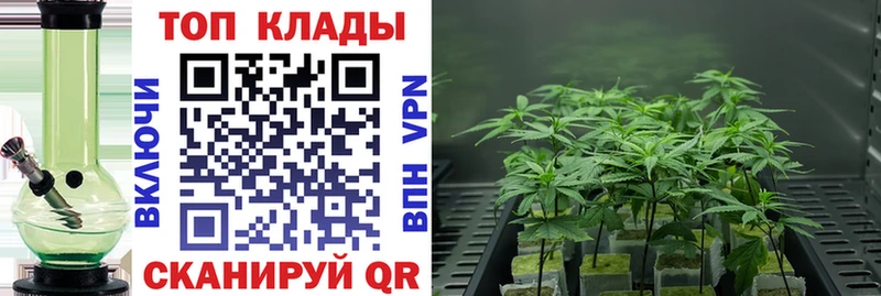 Что такое Вилючинск COCAIN  Меф мяу мяу  Галлюциногенные грибы  Марихуана  Амфетамин 