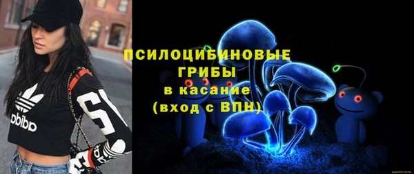 MDMA Premium VHQ Бугульма