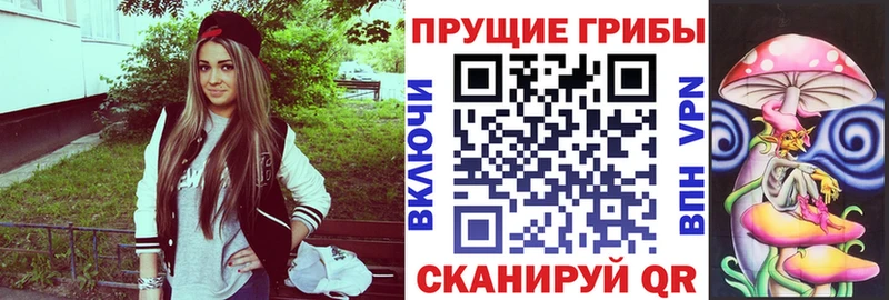 Псилоцибиновые грибы MAGIC MUSHROOMS  купить наркотики цена  Вилючинск 